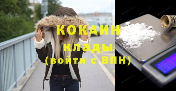 стаф Вязьма