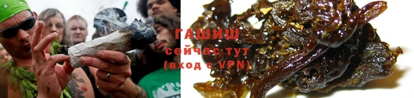 стаф Вязьма