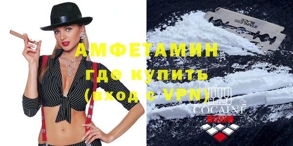 стаф Вязьма