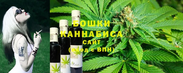 стаф Вязьма
