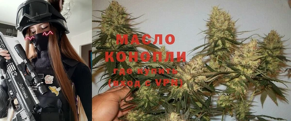 стаф Вязьма