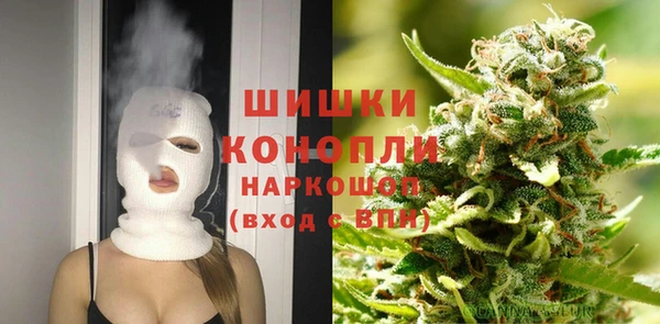 стаф Вязьма