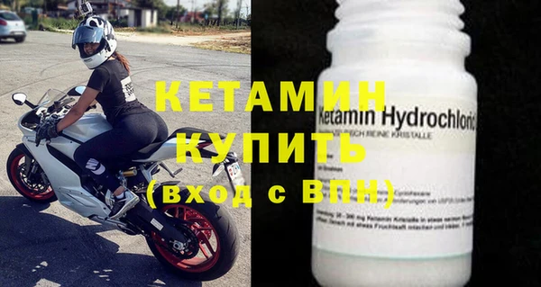 стаф Вязьма
