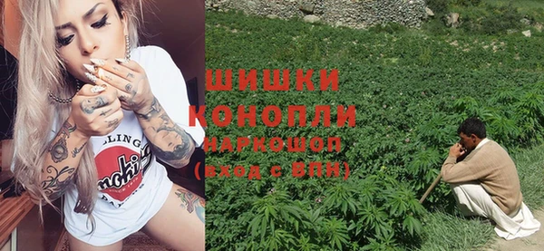 стаф Вязьма