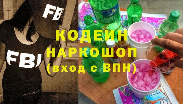 стаф Вязьма